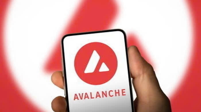 Avalanche Foundation Eyes $1B Institutional Capital via US Corporate Treasuries