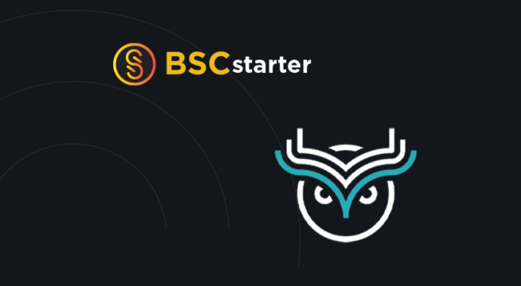 Asset backed token from WISE launching on Binance Smart Chain with BSCstarter