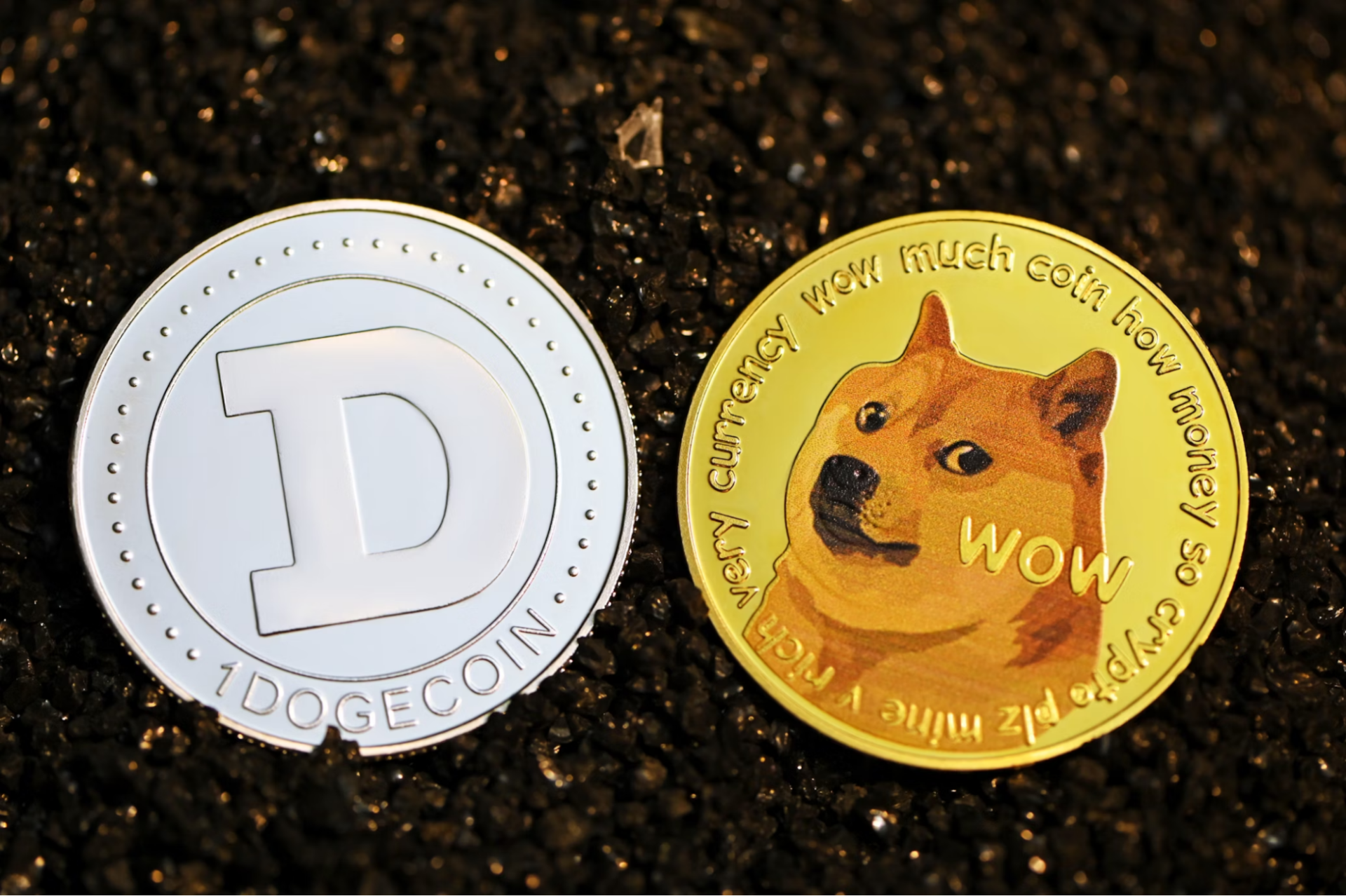 doge-meme-coin-image
