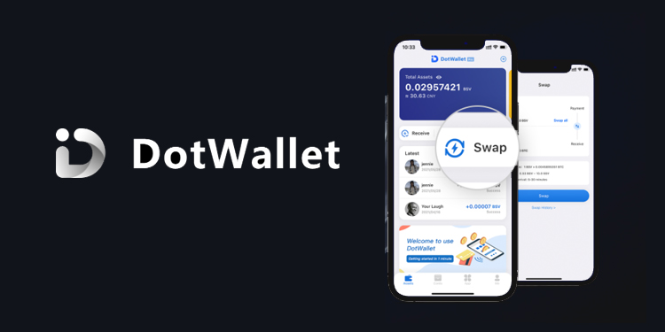 BSV-based DotWallet launches substantial upgrades for 'Pro' version users
