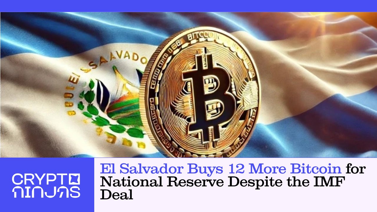 el-salvador-buys-12-more-bitcoin
