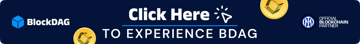 experience-bdag
