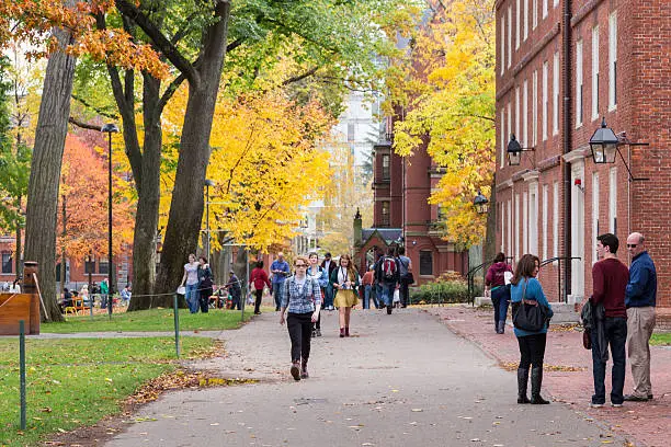 harvard-buys-116-6m-of-blackrocks-spot-bitcoin-etf-in-major-crypto-investment