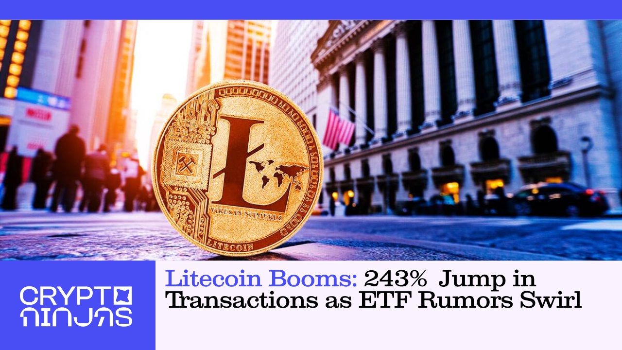 litecoin-booms-243-percent-jump-in-transactions-as-etf-rumors-swirl