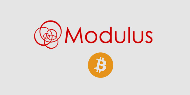 Crypto exchange white-label Modulus over $1M in BTC accepted since adding as payment option