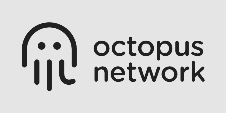 Multi-chain crypto protocol Octopus Network secures $5M in Series A funding