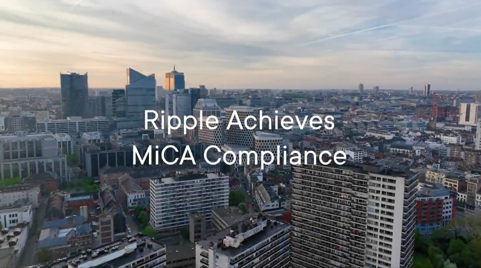 ripple-mica-full-license