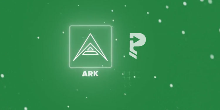 ARK blockchain set to introduce new web version of its wallet app Payvo