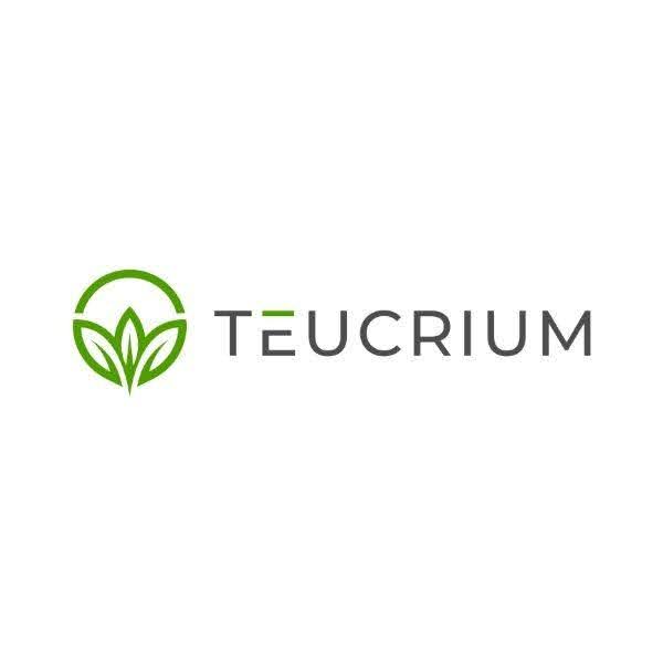 teucrium
