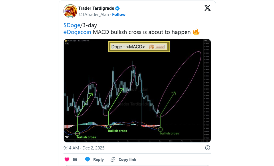 trader-tardigrade-and-doge-coin