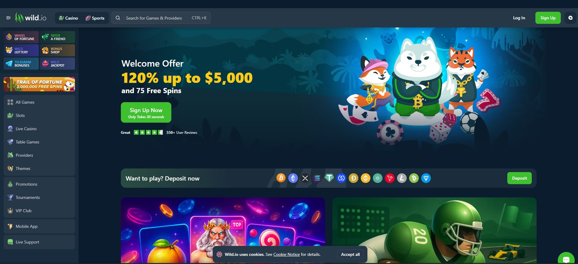 wildio-crypto-casino-homepage